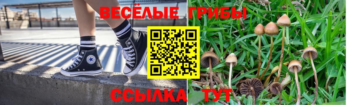 Псилоцибиновые грибы мицелий  Вход с VPN  Курганинск 